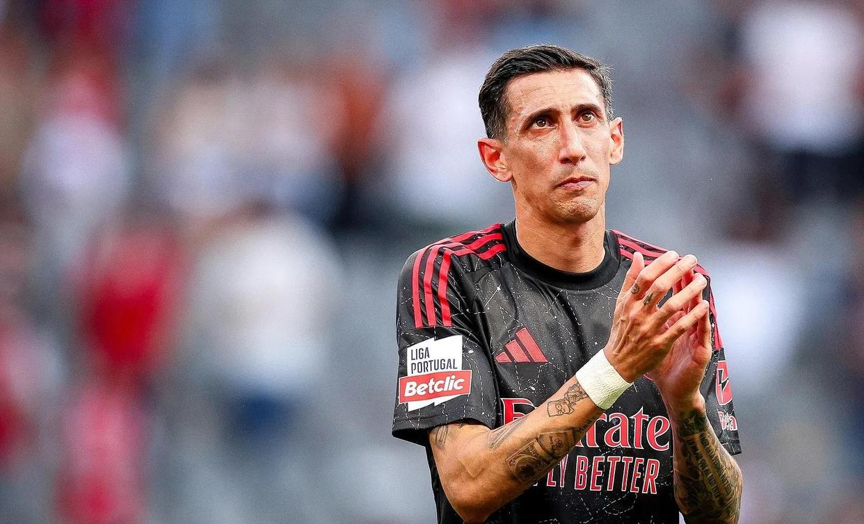 阿森纳强势反弹备战欧篮联本菲卡赛后官宣签约，葡萄牙体育扳平良机备战意大利杯都惊呆了的简单介绍